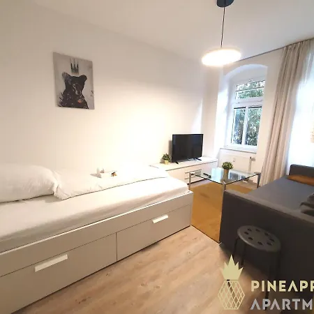 Ruhiges Hinterhof Im Herzen Der Neustadt * Dresden