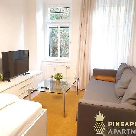 Apartmán Ruhiges Hinterhof Im Herzen Der Neustadt Drážďany